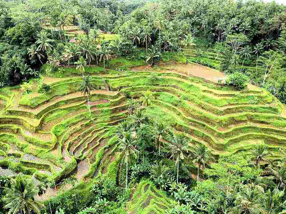 Ubud